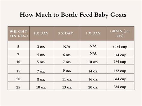 Guide To Bottle Feeding Goat Kids