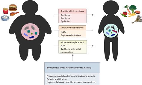 Over Feeding The Gut Microbiome A Scoping Review On Health