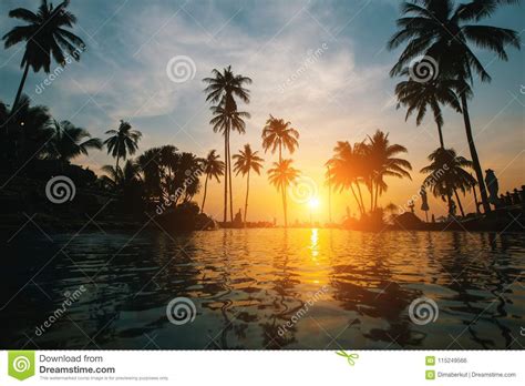 Tropical Beach At Amazing Sunset Stock Photo Image Of