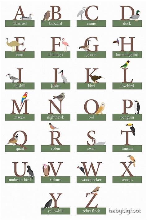 Bird Alphabet By Babybigfoot Redbubble