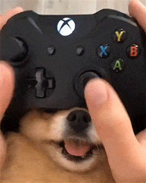 Og Xbox 360 Gamerpics Dog Original Profile Picture Xbox