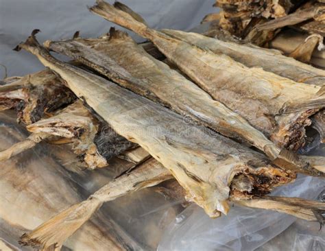 Dried Cod Type Fish On Sale In The Stall Of Fish Stock Image Image Of