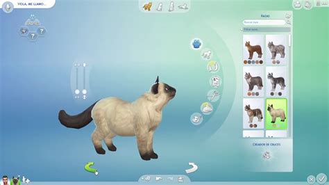 Sims 4 Cats And Dogs Breeds Cc Ameinerdesign