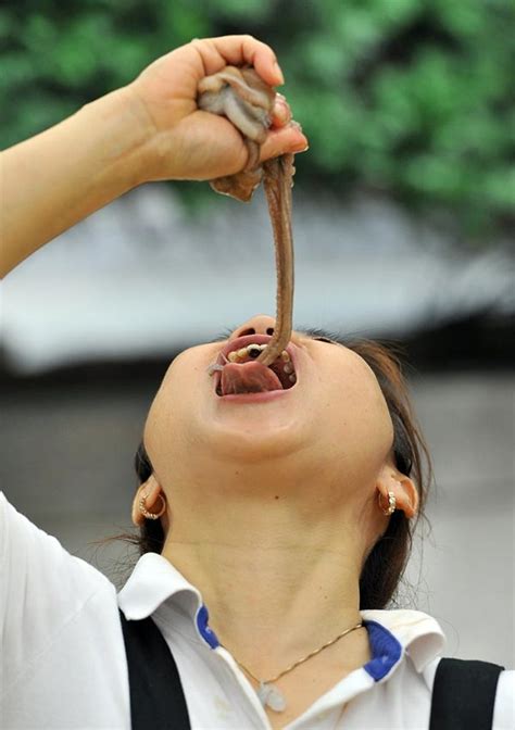 South Koreans Eating Live Octopus To Promote Local Food Festival