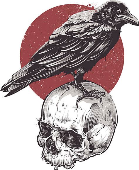 Skull And Crow Tattoo Drawing Illustrations Royalty Free Vector