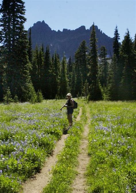 Oregon Top 5 Best Easy Hikes In The Mount Jefferson Wilderness