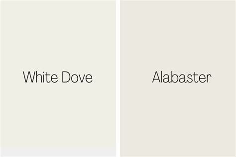 White Dove By Benjamin Moore The Ultimate Guide 2022