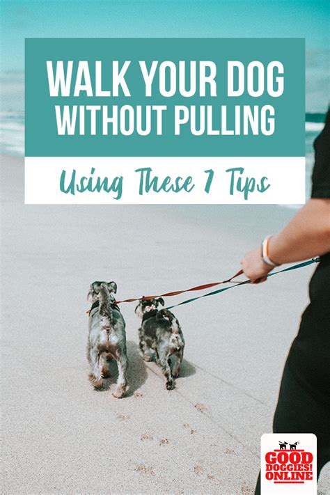 Teaching a cat to walk on a leash allows an indoor cat safe access to the great outdoors. How to Train Your Dog to Walk on a Leash Without Pulling ...