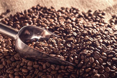 We did not find results for: Scoop In Coffee Beans Photograph by Ktsdesign/science Photo Library