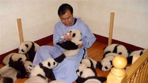 Panda Monium Mental Floss