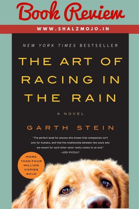 The Art Of Racing In The Rain Hbo Max - Racing In The Rain Book Vs Movie / Amazon.com: The Art of Racing in the