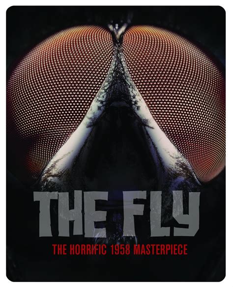 The Fly 1958 Reviews And Overview Movies And Mania