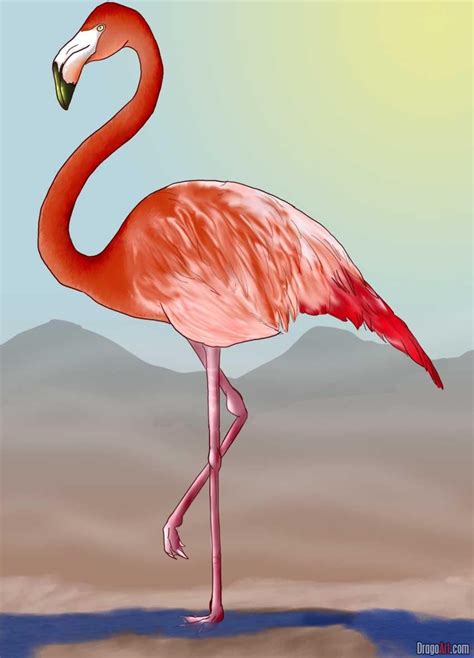Pin By Janet Fleming Arnouil On Flamingosfamous Pink Birds