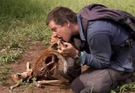 Nascido em minas gerais, foi criado em governador. Äckliga saker Bear Grylls har ätit