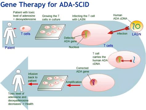 Knowledge Class: What is Gene Therapy?