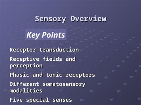 Ppt Sensory Overview Dokumen Tips
