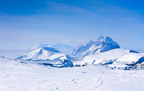 Antarctic Tourism Booming Financial Tribune