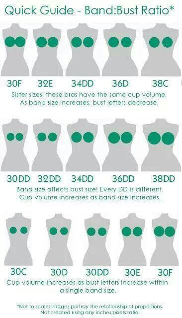We even help you identify when you need a new finding the ideal bra starts with knowing your size. Bra sizing diagram! Bra size chart, good to know | Bra fitting