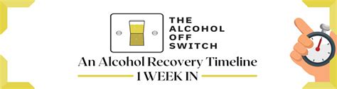 Alcohol Recovery Timeline Day 1 To Day 365