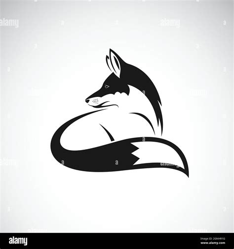 Vector Of A Fox Design On White Background Easy Editable Layered