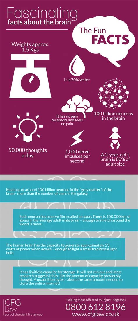 Fascinating Facts About The Brain Infographic Brain Facts Fun