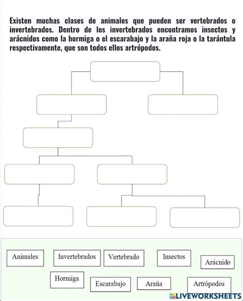 Mapa conceptual online exercise for Quinto grado Actividades de español Mapa conceptual