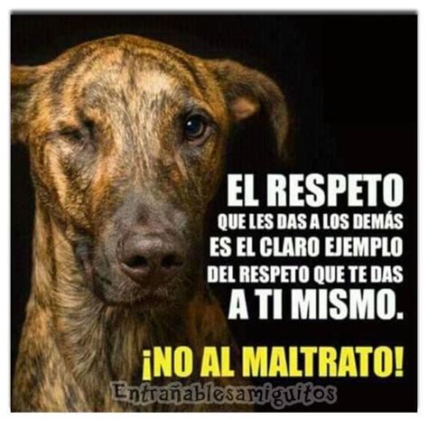 Lista 104 Foto Como Hacer Un Cartel Sobre El Cuidado De Los Animales