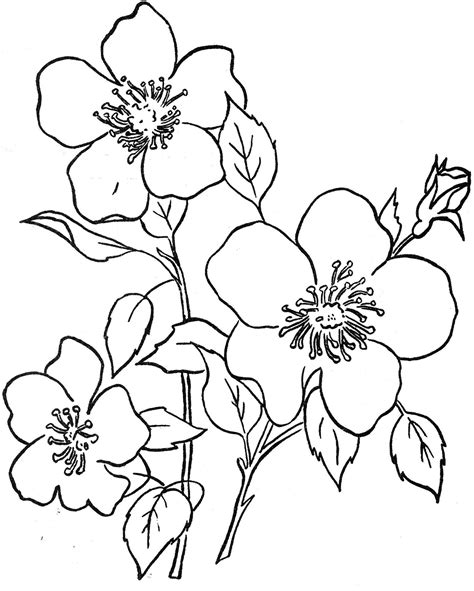 Each picture in the colorme coloring game has. Aesthetic Pages Coloring Pages