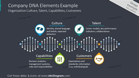 Company Dna Chart Illustrating Companys Culture And Customers