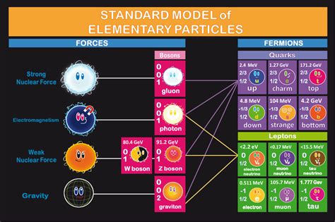 Science Visualized Standard Model Of Particle Physics Graphical