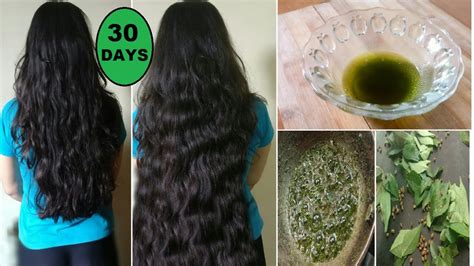 If you wash your hair every day, your hair will be hurt and this may prevent it from growing thicker. Homemade Curry Leaves Oil to Grow Long Thick Hair fast ...