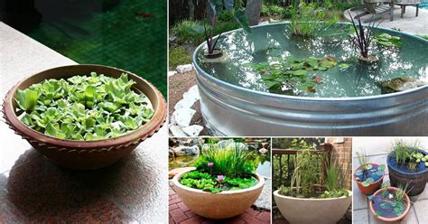 How To Make A Small Container Water Garden