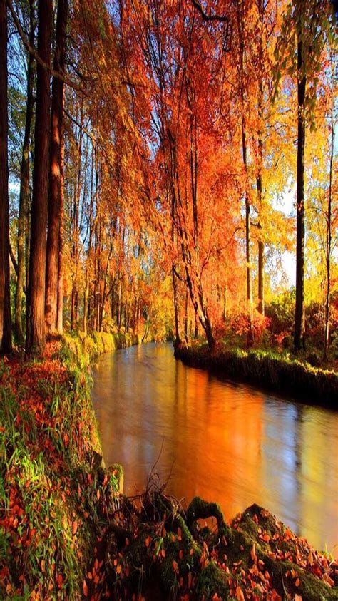 Autumnquenalbertini Beautiful Pond By B Cody On 500px