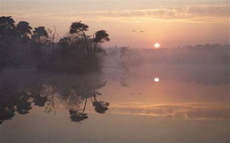 Nature Landscape Reflection Sunrise Lake Birds