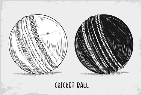 Hand Drawn Cricket Ball Sketch Isolated On White Background Detailed