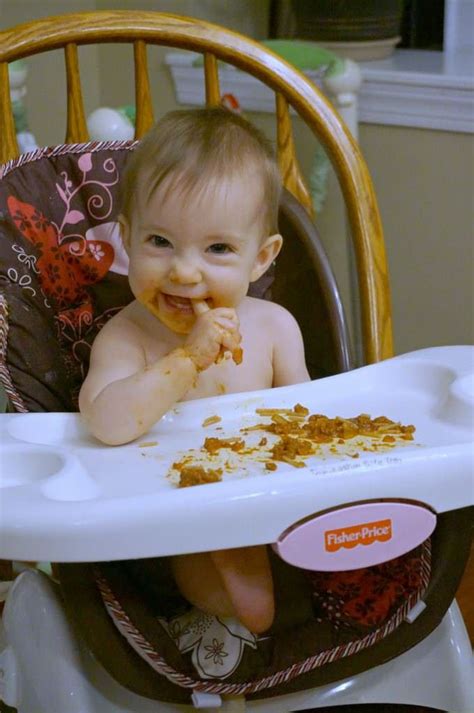 Almost all foods are fair game at this point, and chances are, she'll be able to enjoy most of whatever the rest of the family is eating (so long as the foods are served in a way that doesn't. Baby Led Weaning Meal Ideas: 8 Months Old | 8 month old ...