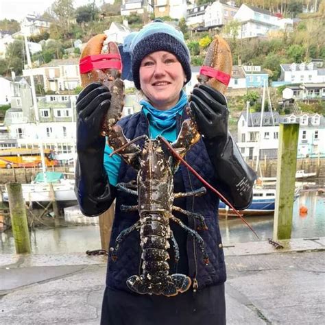 Biggest Lobster Youve Ever Seen Caught Off Cornwall Coast At Looe