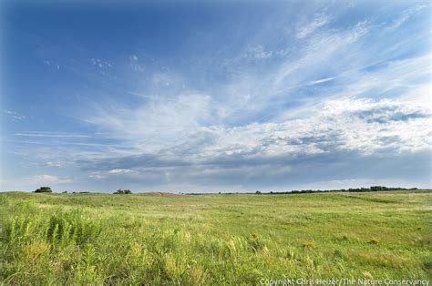 Fun And Fellowship In The Platte Prairies The Prairie Ecologist