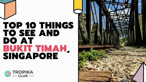 top 10 things to do at bukit timah singapore