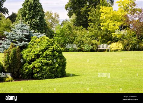 Large Trees Shrubs And Bushes Around A Lawn At Waterperry Garden