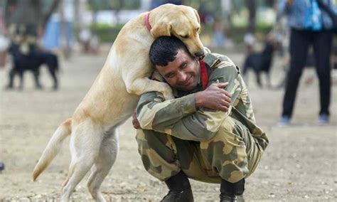 Unforgettable Farewell Touching Scene As Dog Clings To Soldier In