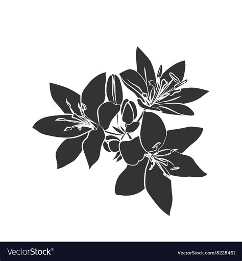 Black Silhouette Lily Royalty Free Vector Image