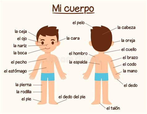 Spanish Parts Of The Body Coloring Pages
