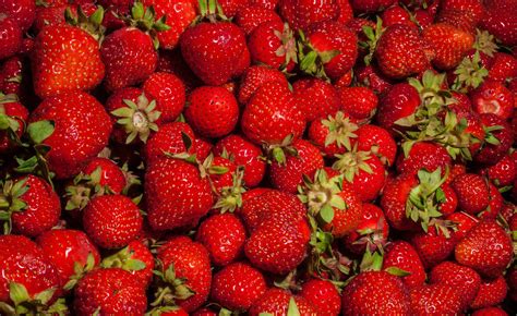 3 Arrested Following Large Scale Stawberry Theft ‘worth Thousands On