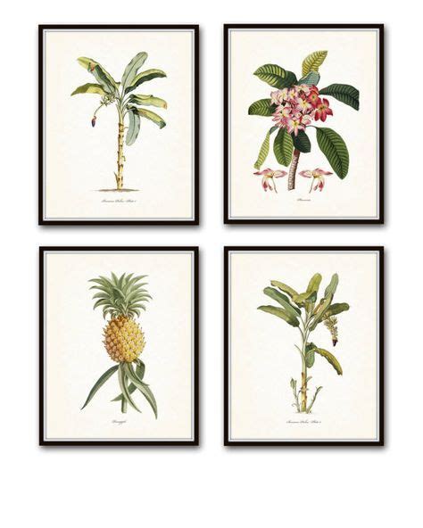 Tropical Botanical Print Set Giclee Canvas Art By Bellebotanica