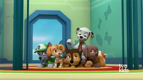 Paw Patrol Season 8 Episode 5 By Karllthorn On Deviantart