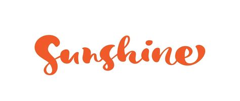 Vector Lettering Calligraphy Text Sunshine Summer Hand Drawn Isolated
