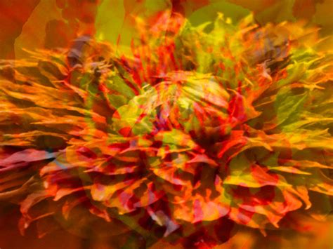 Flowers by maryellen in marshfield makes sending fresh flowers easy! Flower Fire Photograph by James Chesnick