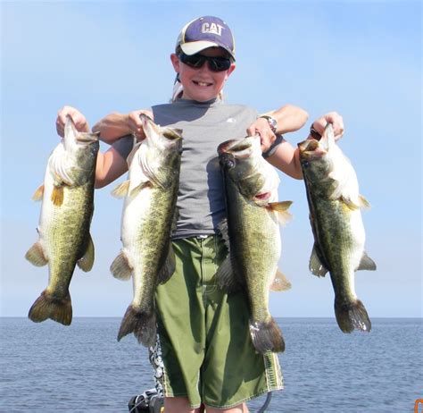 Florida Bass Fishing Bass Fishing Florida Charters For Trophy Bass