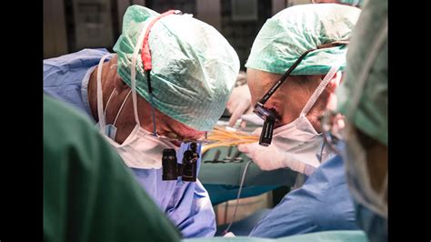 successful liver transplants at three hospitals daily news